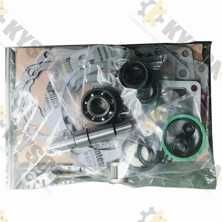 Fuel pump Repair Kit (3)